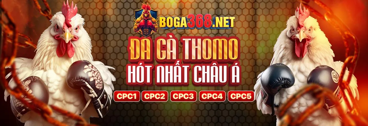 Sân chơi đá gà trực tuyến 98win1 nổ hũ